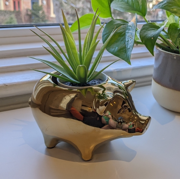 Pig planter/candle holder - Picture 2 of 4